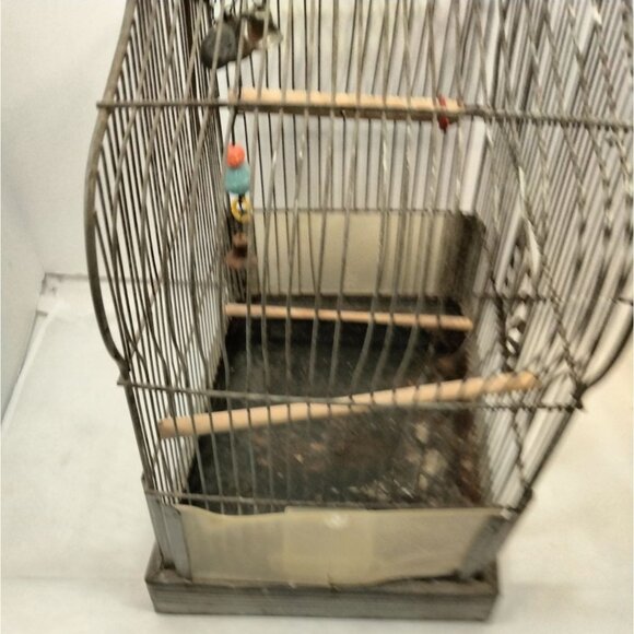 Crown Metal Bird Cage Antique Distressed Shabby Swing Decorative Door - Picture 10 of 13